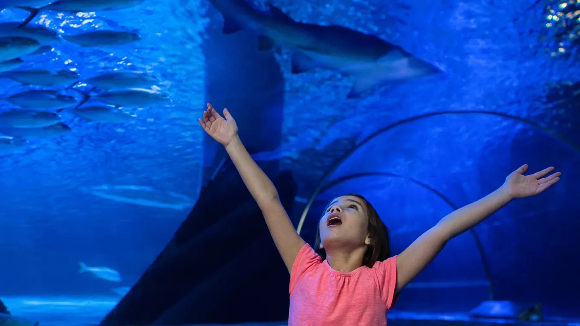 Little girl enjoying at Sea Life Charlotte-Concord