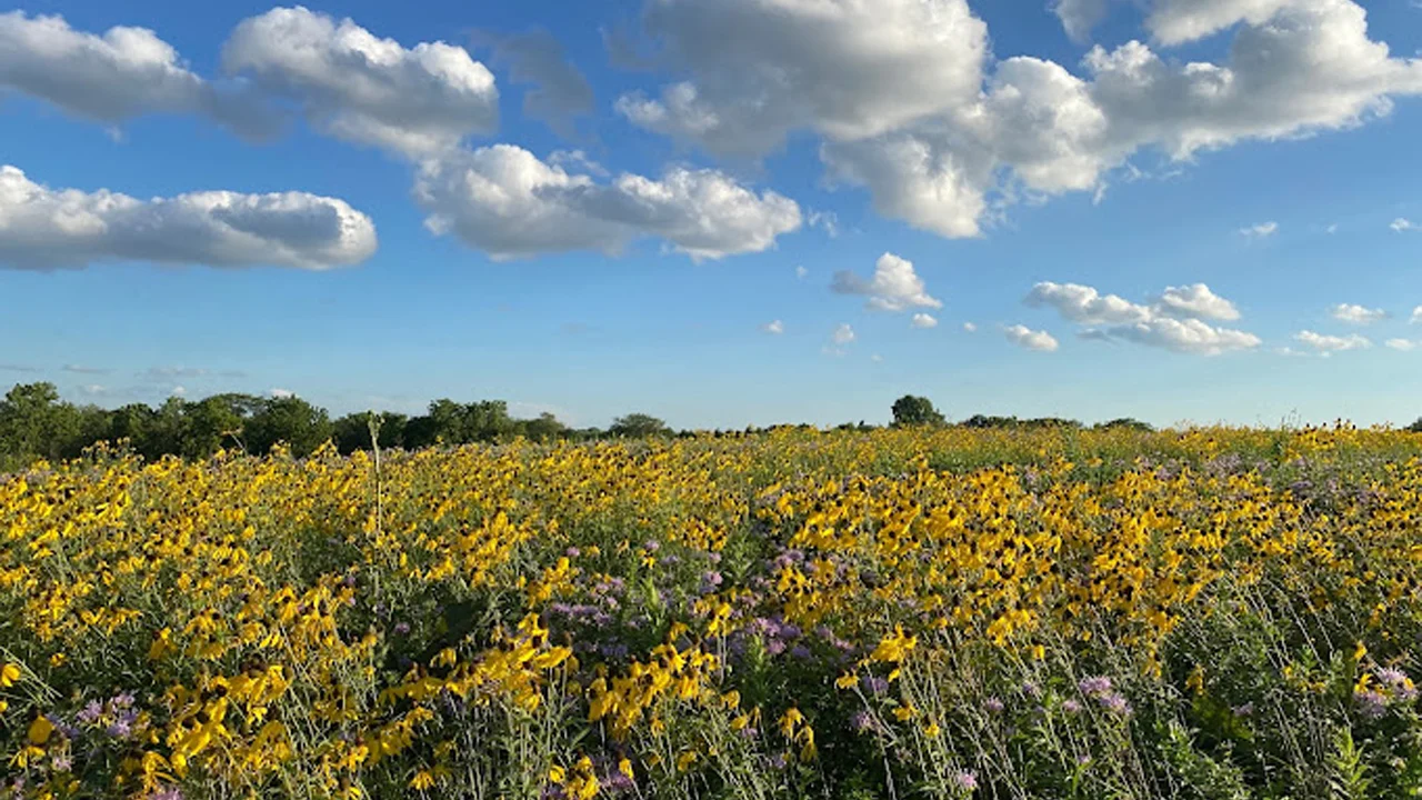 Springbrook Prairie Forest Preserve
