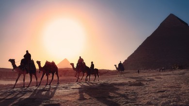 egypt pyramids with camels in background