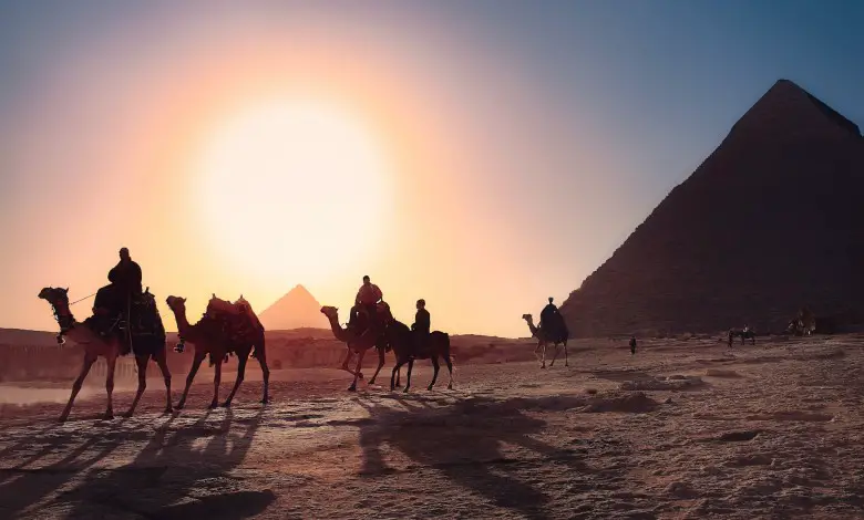 egypt pyramids with camels in background