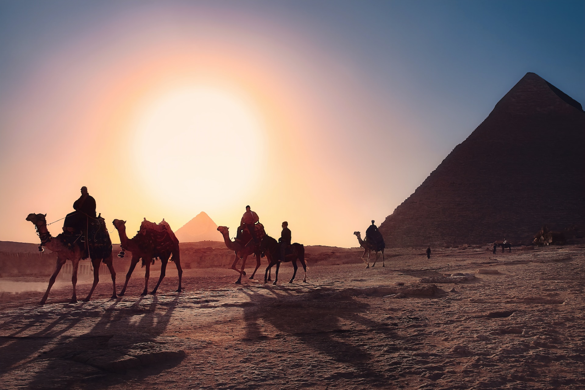 egypt pyramids with camels in background