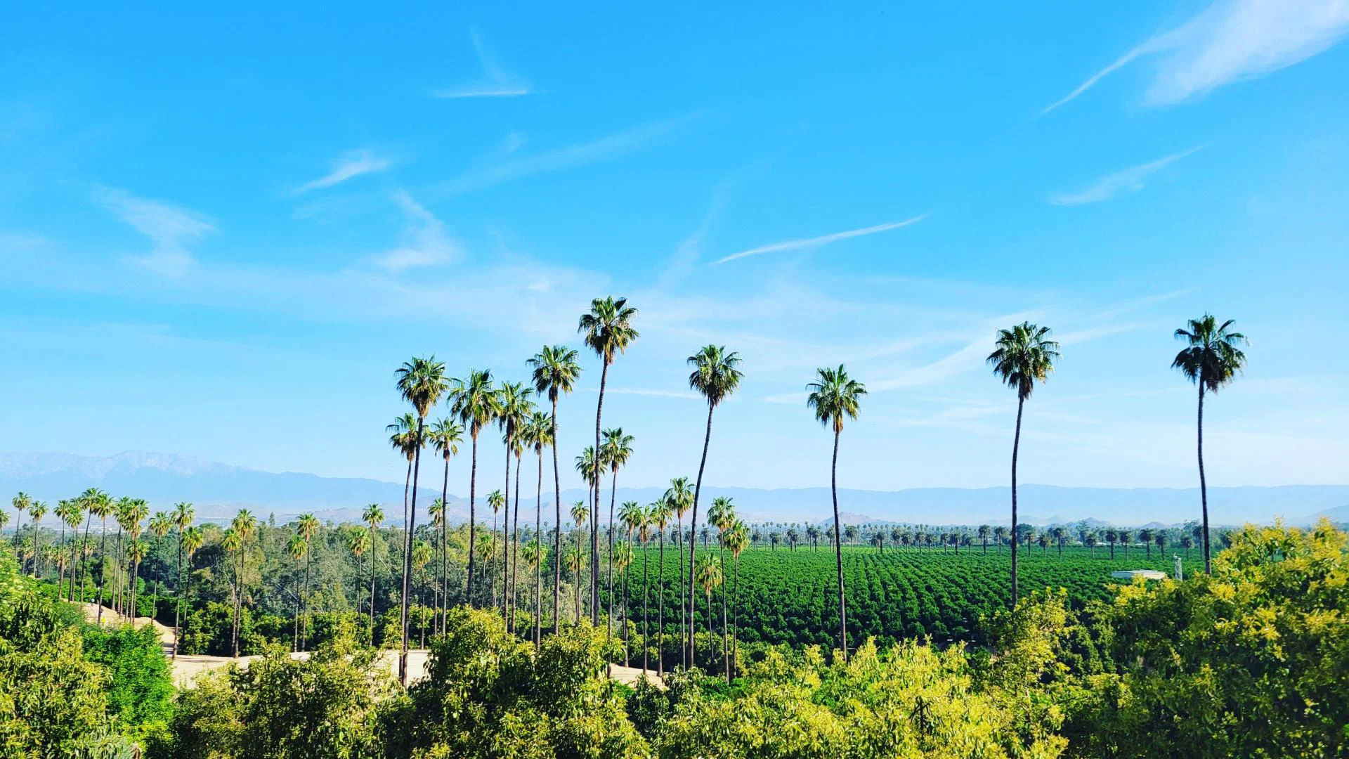 California Citrus State Historic Park