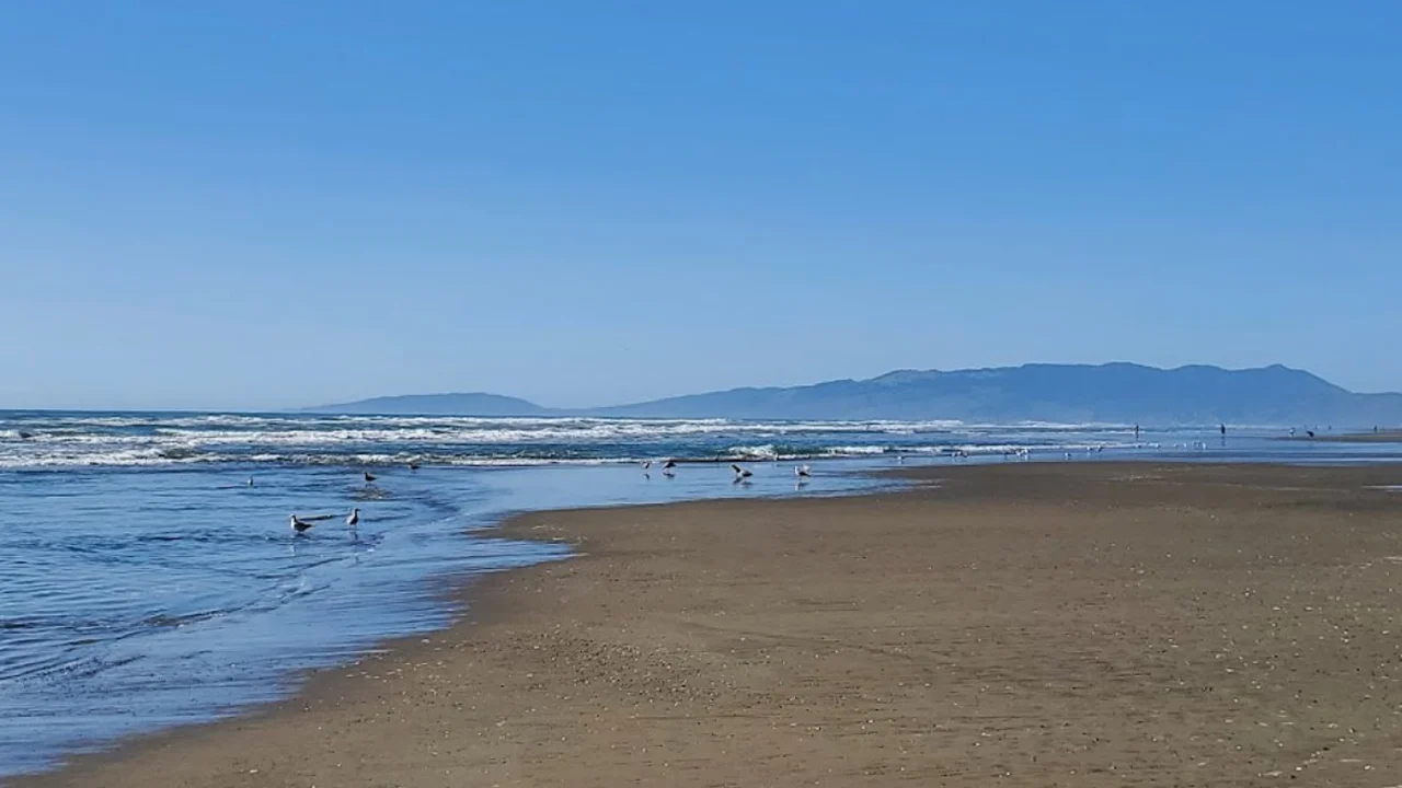 Phillip Burton Memorial Beach