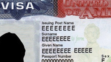 usa visa blank