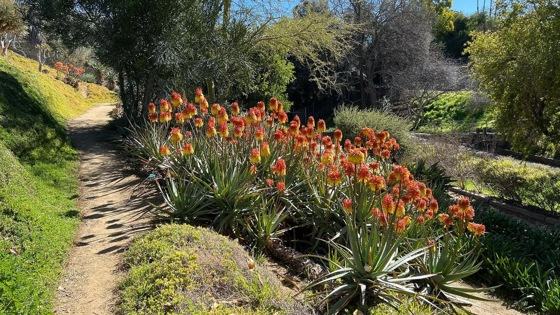 The University of California Riverside Botanic Garden