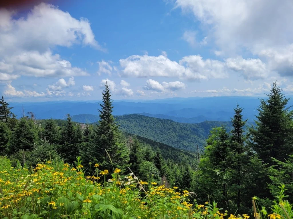 Appalachian National Scenic Trail