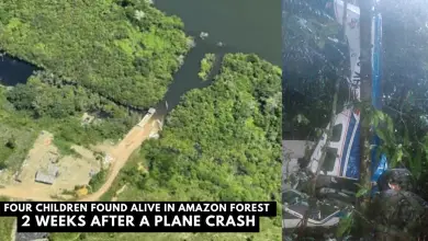 plane crash amazon forest