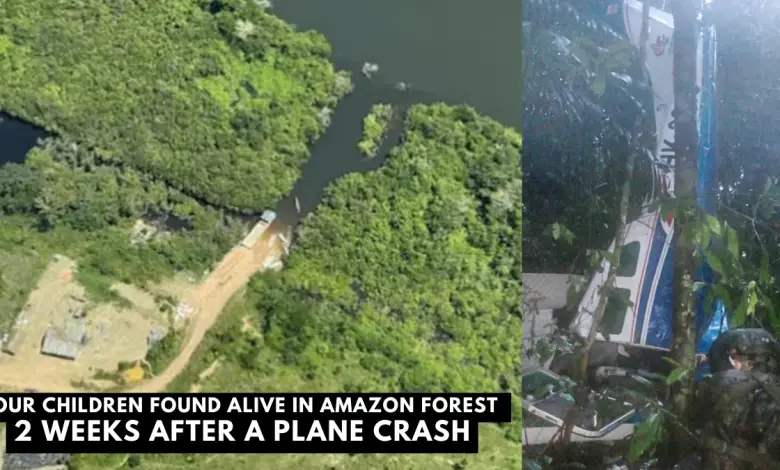 plane crash amazon forest