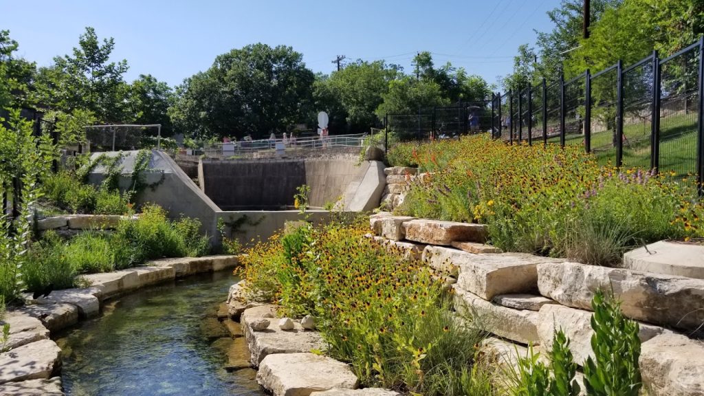 Barton Springs Municipal Pool