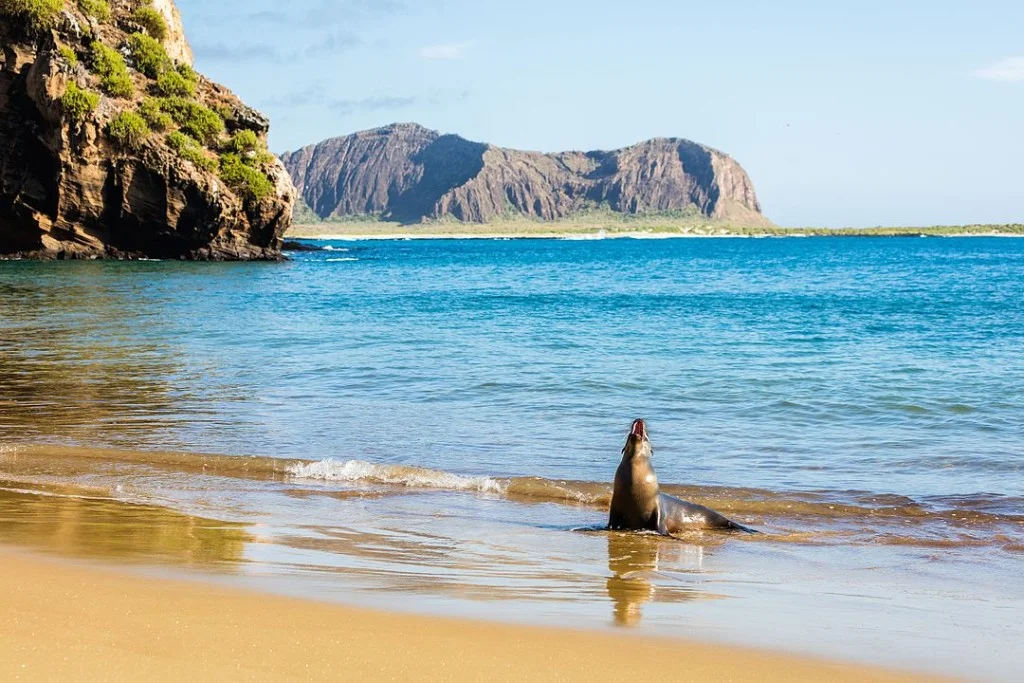Galapagos Island