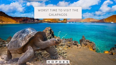 Worst time to visit the Galapagos