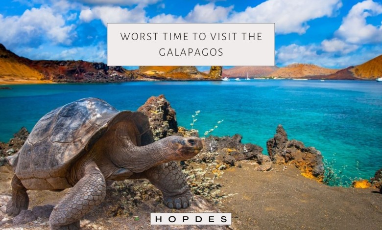 Worst time to visit the Galapagos
