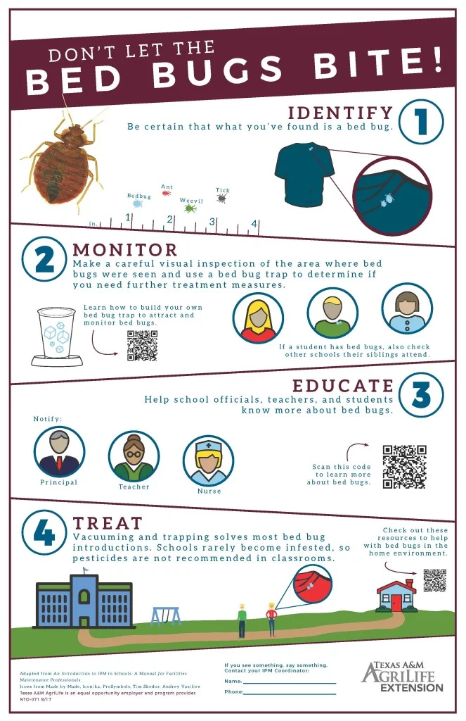 Bed Bugs Precautions