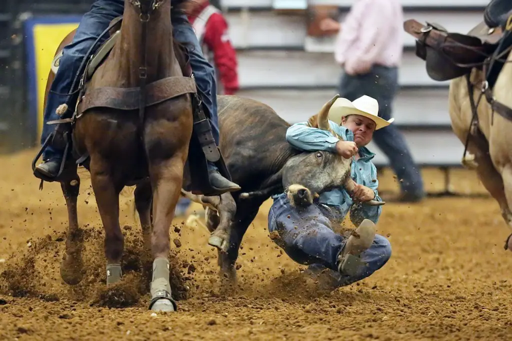 Mesquite Championship Rodeo