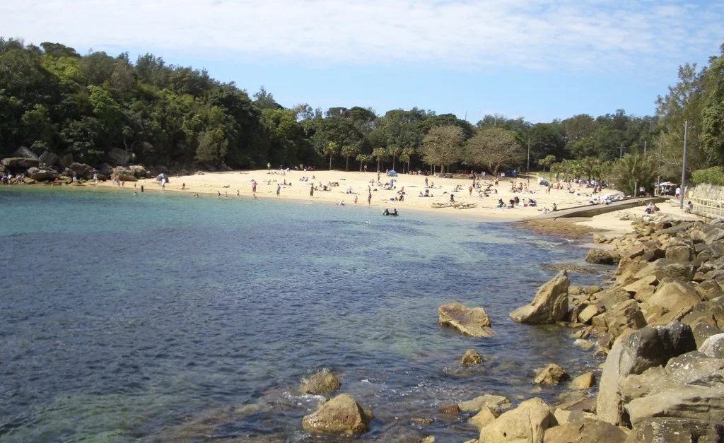 Shelly Beach Sydney