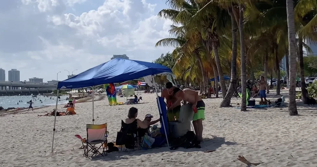 Picnic at Hobie Island Park Beach