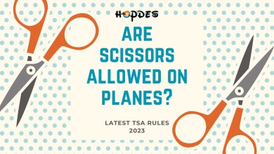 Are Scissors Allowed on Planes?