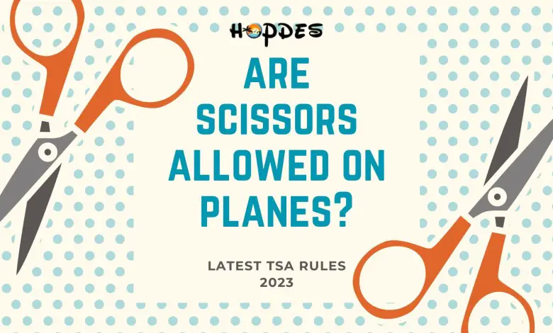 Are Scissors Allowed on Planes?