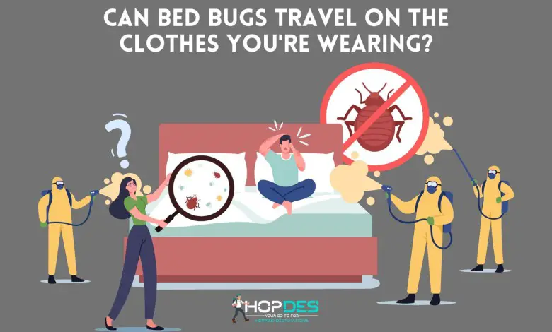 Can Bed Bugs Travel on Clothes You're Wearing?