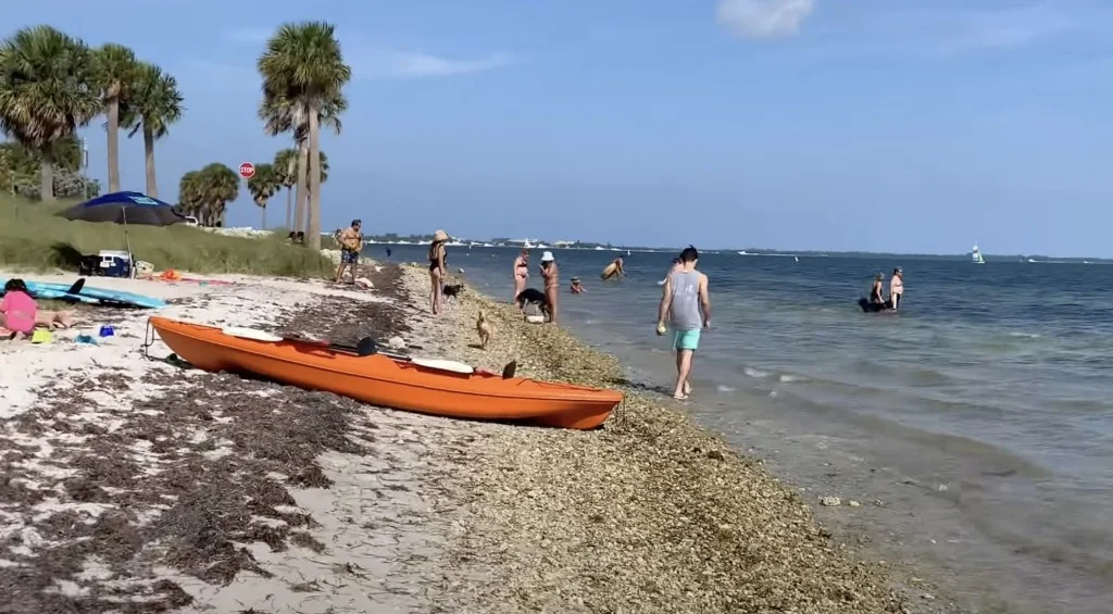 Kayak at Parking at Hobie Island Park Beach