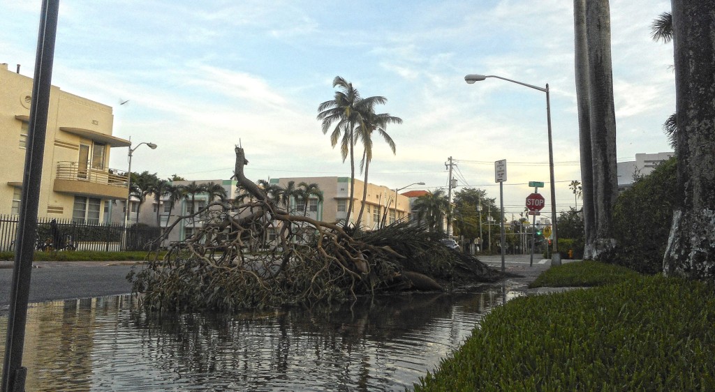 Miami Beach Hurricane Irma Damage