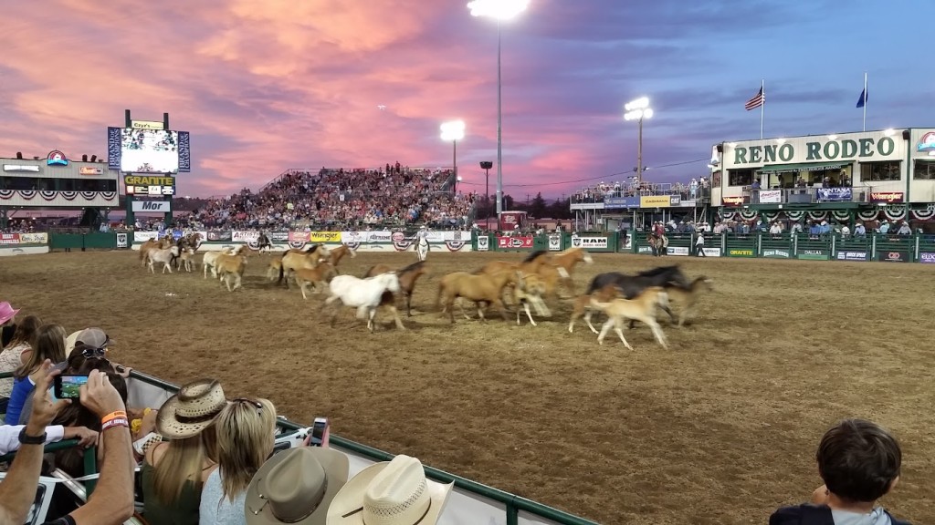 Reno Rodeo