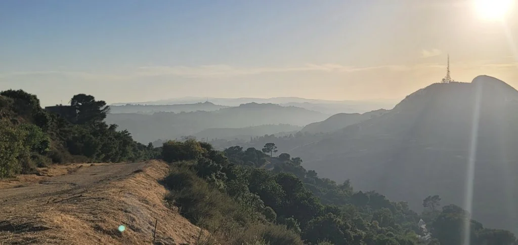 Mt. Hollywood Trail