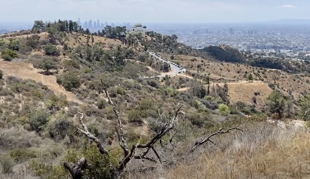 Mount Hollywood Trail