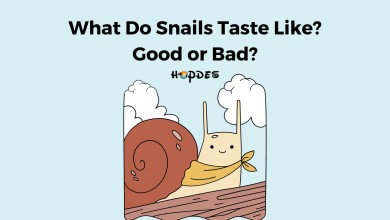 What Do Snails Taste Like? Good or Bad?