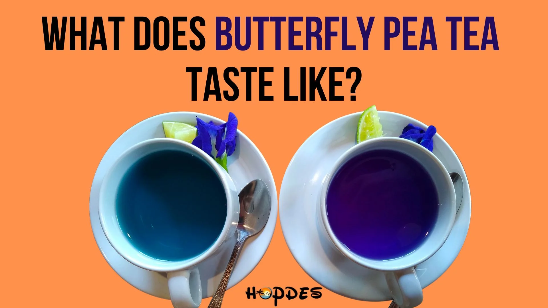 What Does Butterfly Pea Tea Taste Like?