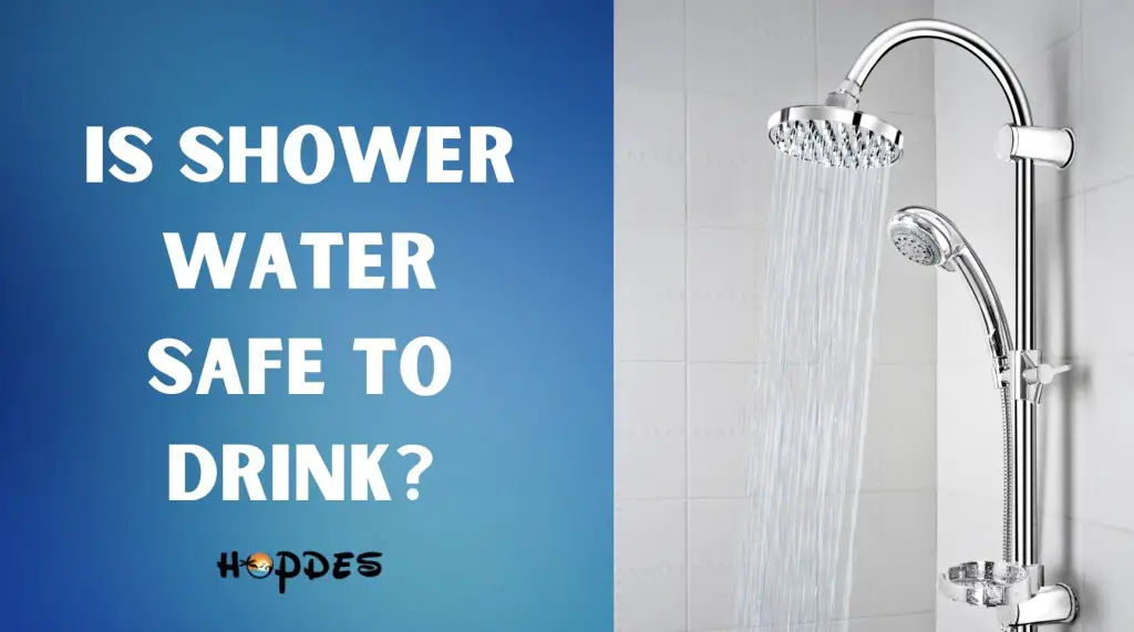 Is Shower Water Safe to Drink? Safety Concerns and Facts - HopDes