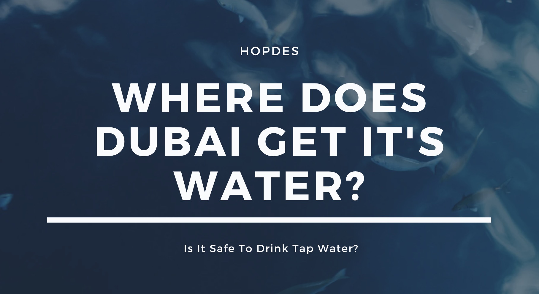 Where Does Dubai Get It's Water? Is It Safe To Drink Tap Water?