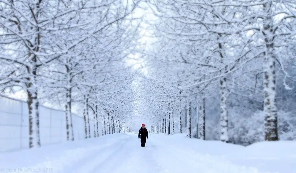 Snowfall in Iceland