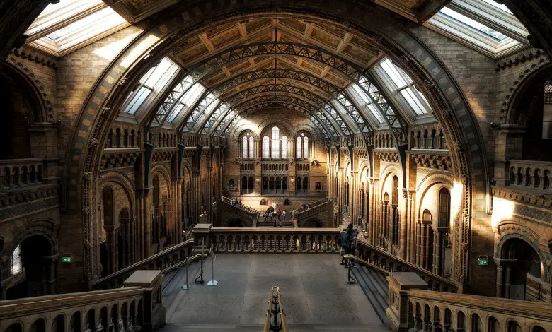 The vaulted hall in the Natural History Museum in London illuminated by the sun. Original public domain image from Wikimedia Commons