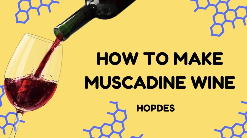 How to Make Muscadine Wine in 5 EASY Steps! Beginners Guide HopDes